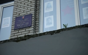 В Петербурге закрыли на карантин 410 школьных классов из-за ОРВИ