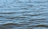 Ребёнок-ивалид чуть не утонул в Солдатском озере