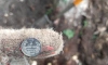 При сносе аварийного дерева на улице Турку нашли серебряную монету 1815 года