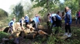 Экоактивисты наводят порядок в парке имени Антипова ...
