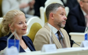 В Петербурге комиссия ЗакСа одобрила законопроект о приостановке КРТ