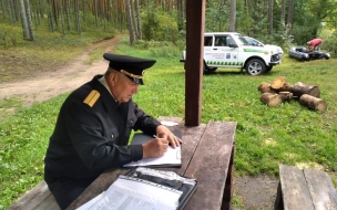 Ленобласть усиливает контроль за заказниками