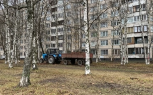 Петербуржцам разъяснили, куда обращаться при плохой уборке дворов