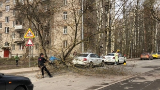 В Петербурге 19 апреля ожидаются метель и порывы ветра до 17 м/с