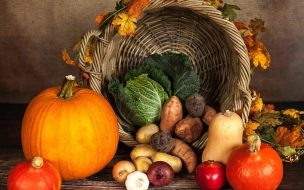 Петербуржцам рассказали, какие овощи и фрукты нужно есть осенью