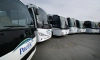 C 14 декабря запустят дополнительные автобусы из Петербурга в Хельсинки