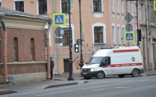 Бастрыкин проверит обстоятельства получения травм 10-летней девочкой в Петербурге
