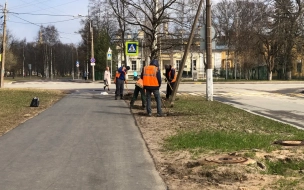 Наталья Чечина не поддержала идею лишить муниципалов полномочий по благоустройству в Петербурге