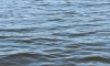 В Петербурге не обнаружены пригодные для купания водоемы