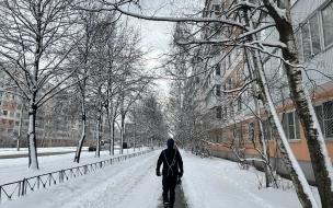 В Ленобласти 16 января ожидается снег и до -15 градусов