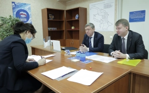 Тетердинко и Соловьев намерены баллотироваться в Госдуму