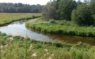Дно реки Коваши начнут чистить в 2022 году