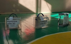 Избирательные участки Петербурга закрылись 