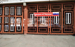 Горизбирком Петербурга попросил СК провести проверку после сообщения о возможных "каруселях" на выборах