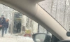 Водителя маршрутки привлекли за ДТП с погибшим пассажиром в Курортном районе