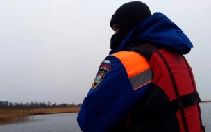 Спасатели Ленобласти выезжали на помощь жителям 29 раз за неделю