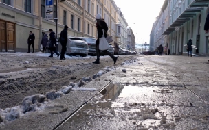 К пятнице в Петербург придёт оттепель