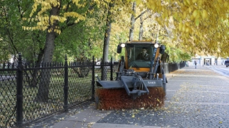 Петербуржцам предложили поучаствовать в онлайн-голосовании по качеству уборки районов