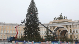 Главную новогоднюю ёлку Петербурга уберут с Дворцовой площади 24 января