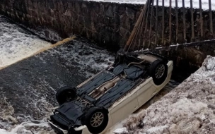 В Ленобласти иномарка упала в водопад и перевернулась