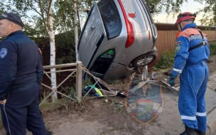 В Кировске водитель врезался в дерево