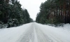 В Ленобласти 14 декабря ожидается до -6 градусов