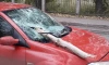 В Кировске упавшее дерево насквозь пробило лобовое стекло в движущейся машине