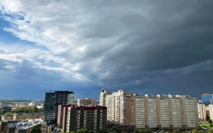 Теплая и дождливая погода ожидается в Петербурге в конце этой недели