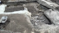 Петербургские археологи обнаружили остатки допетровского ...