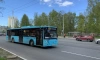Петербург закупит 63 новых автобуса до конца октября 