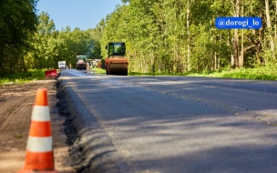 В Ленобласти отремонтируют трассу к Синявинским высотам 