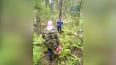 Спасатели Тосно нашли заблудившуюся в лесу пенсионерку ...