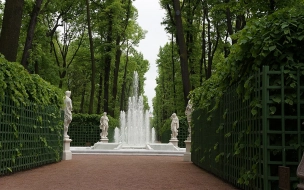 Петербурженку возмутили купающиеся в фонтане Летнего сада дети