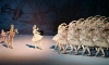 В "Манеже" продлили часы работы, чтобы горожане смогли увидеть выставку "Первая позиция. Русский балет"