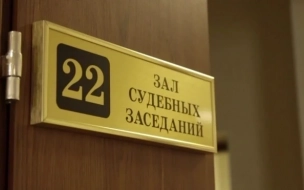 Суд арестовал петербурженку, зарезавшую директора приюта "Забота"