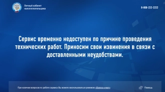 Петербуржцы жалуются на неработающие сайт и приложение ФНС