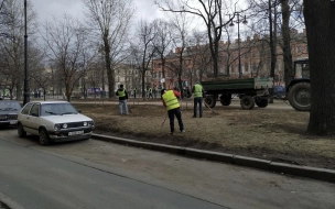 На зачистку петербургских улиц вышли пылесосы