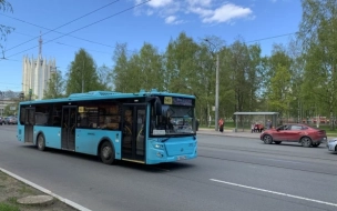 Петербург закупит 63 новых автобуса до конца октября 