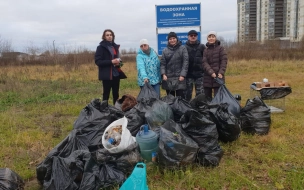 Жители Васильевского островами своими силами собрали 25 мешков мусора в парке на Смоленке