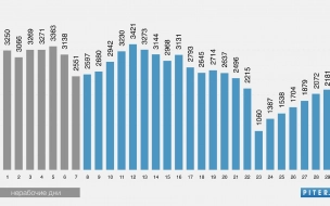 Как менялась коронавирусная статистика Петербурга в ноябре