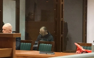 Прокуратура требует ужесточить приговор бывшему вице-губернатору Петербурга Оганесяну