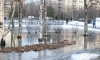 Затянувшаяся февральская погода в Петербурге подходит к концу