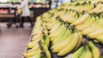 Роскачество обнаружило пестициды в бананах, выращенных ...