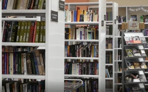 В петербургском ЗакСе одобрили федеральный законопроект о запрете книг иноагентов в библиотеках
