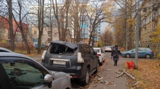 МЧС предупредил петербуржцев о сильном ветре в пятницу