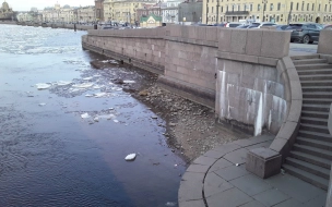 Синоптик рассказал о причине падения уровня воды в Неве