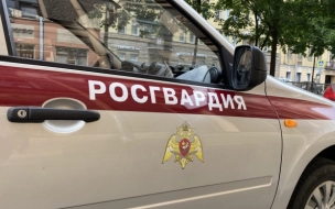 Росгвардейцы задержали двух граждан, избивших жителя ЖК в Кировском районе