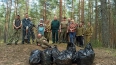 Более 115 кубометров мусора собрали сотрудники лесного ...