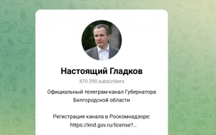В Белгородской области при атаке FPV-дрона ВСУ погиб мужчина