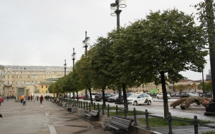 В Петербурге 2 июня температура снова будет ниже климатической нормы